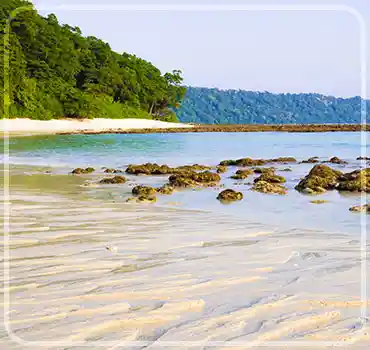 Radhanagar Beach