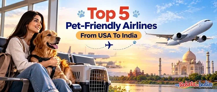 pet friendly airlines