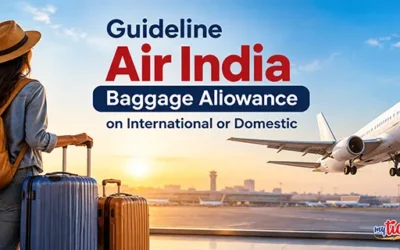 a-detailed-guideline-on-air-india-baggage-allowance__result