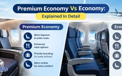 Premium Economy Vs. Economy