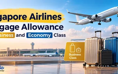 Singapore Airlines baggage policy and allowance