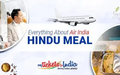 air india business class hindu meal menu