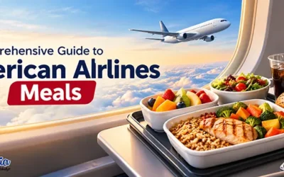 american-airlines-meals