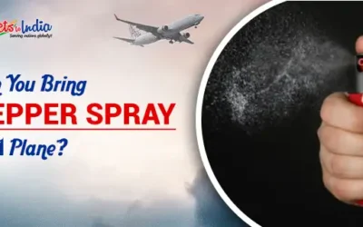 Pepper Spray on a Plane