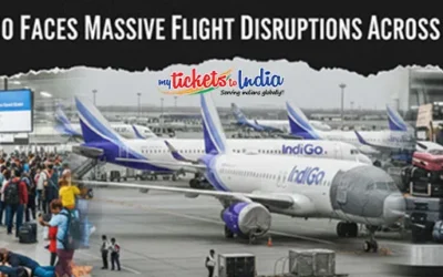 indigo airline news